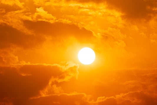 Warmer Weather is Killing Your Food - Here’s What You Can Do About It