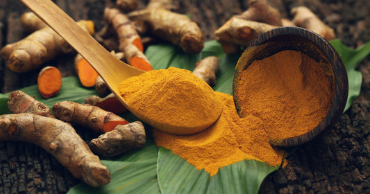Experience the Power of Turmeric