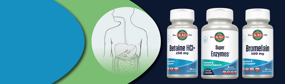 Got Tummy Problems? What is a Digestive Enzyme & How It Can Help