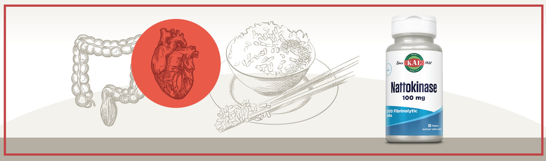 What is Nattokinase? How It Can Benefit Gut Health and More