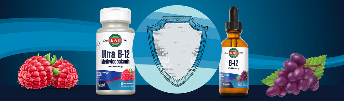 Vitamin B-12: The Benefits, Food Sources and Immune Health