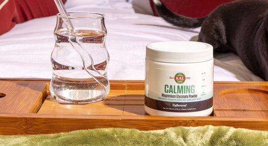 Dietitian’s Note: How to Balance Indulgence with Digestion for the Holidays