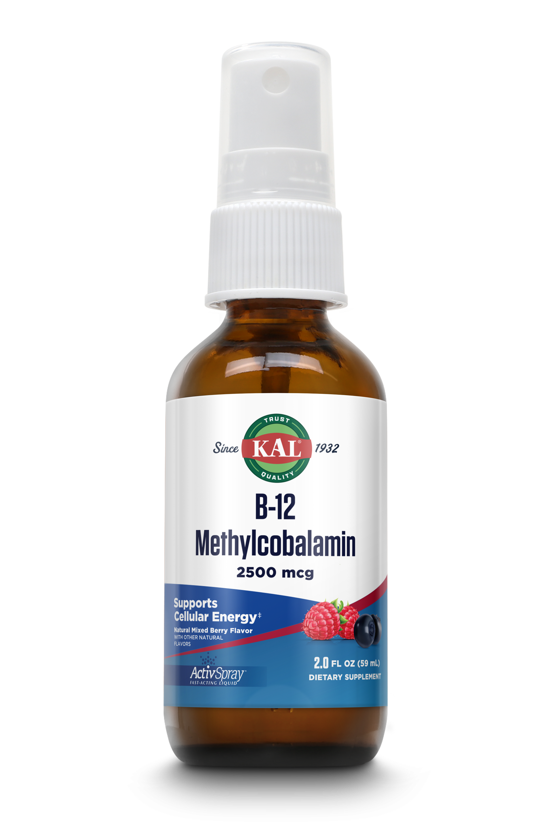 l carnitine horse supplement L-Carnitine For Horses