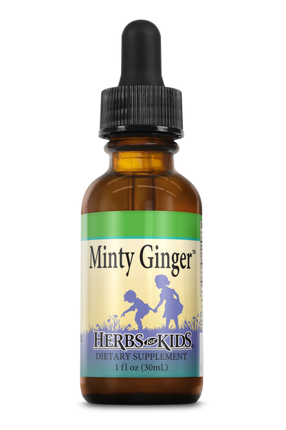 Minty Ginger