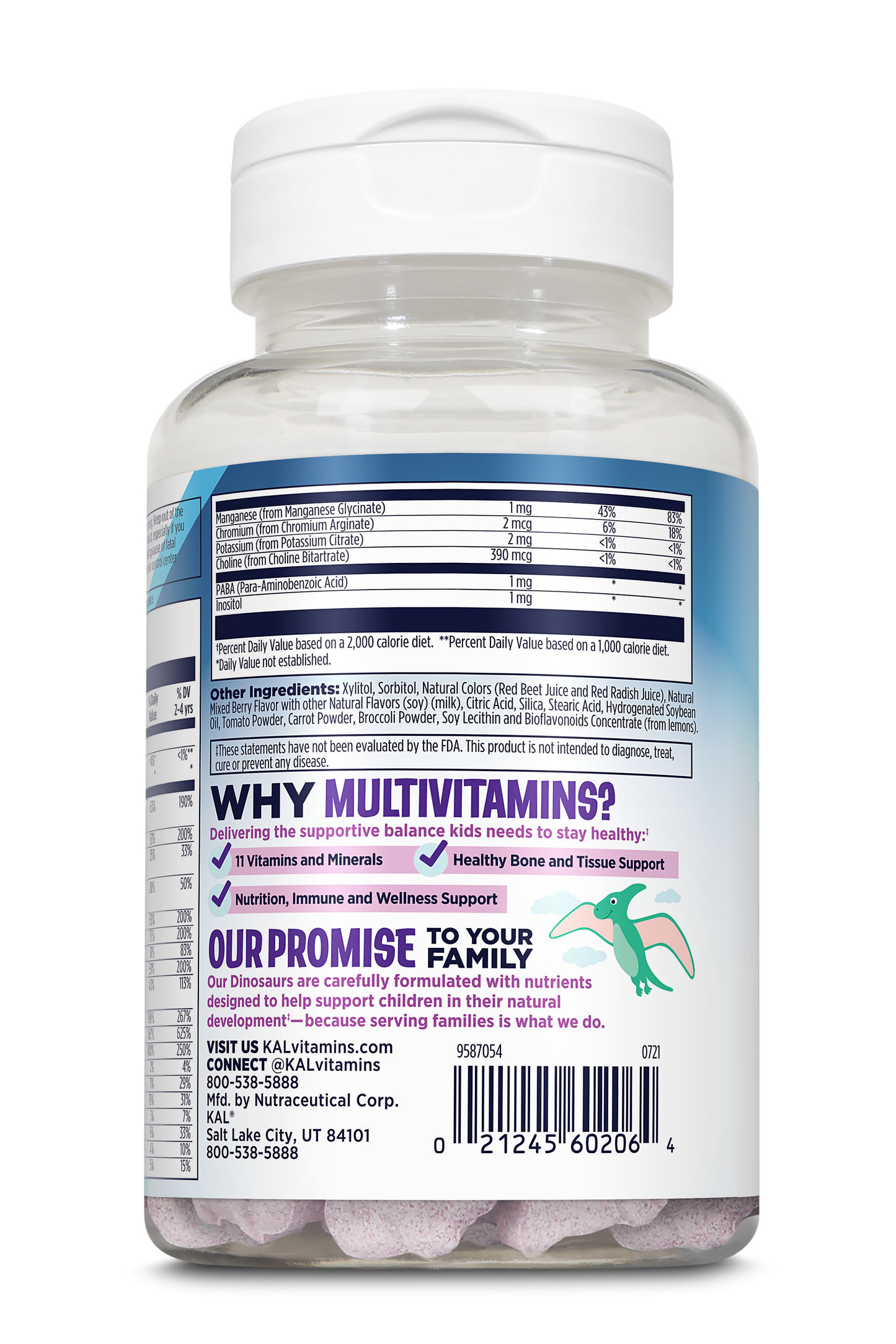 MultiSaurus® Kids Multivitamin Mixed Berry